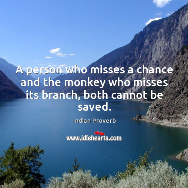A person who misses a chance and the monkey who misses its branch, both cannot be saved. Indian Proverbs Image