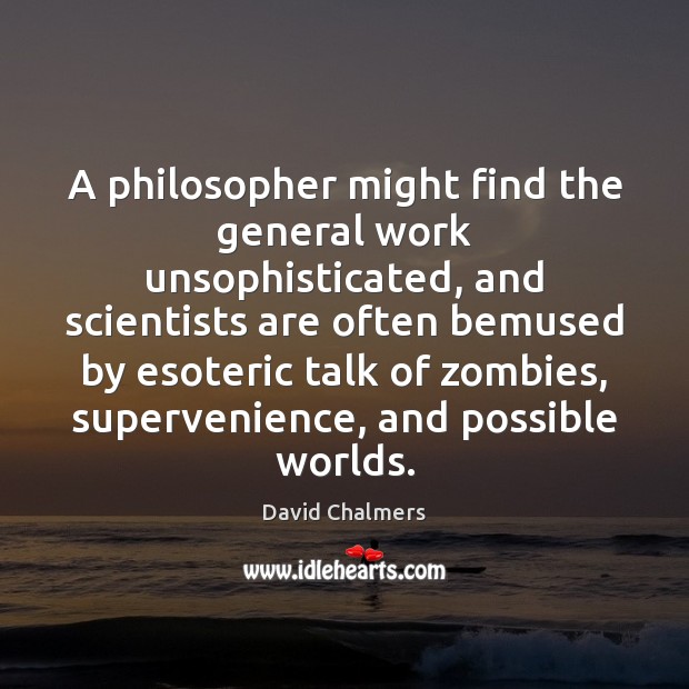 A philosopher might find the general work unsophisticated, and scientists are often David Chalmers Picture Quote