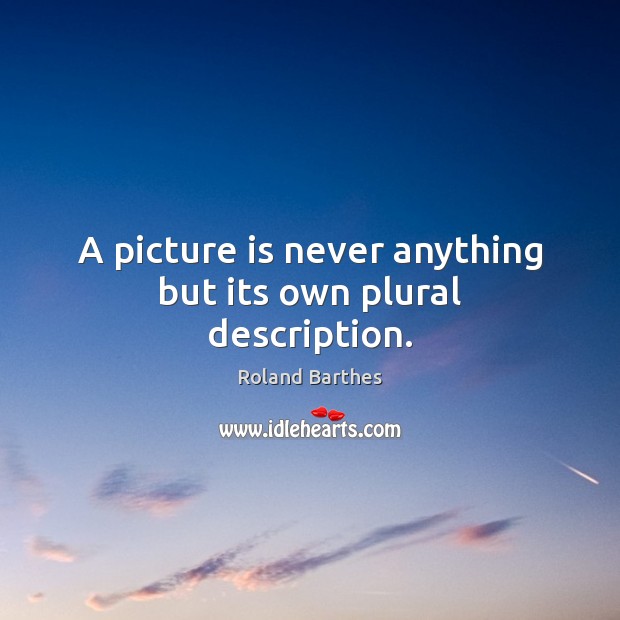 A picture is never anything but its own plural description. Image