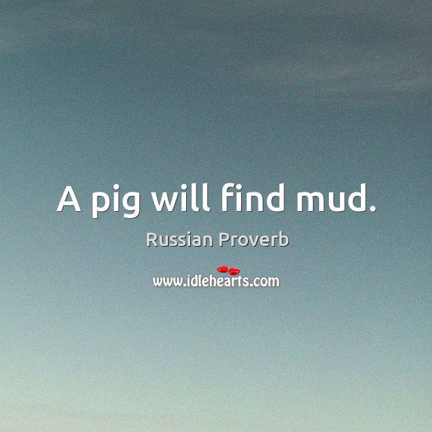 A pig will find mud. Russian Proverbs Image