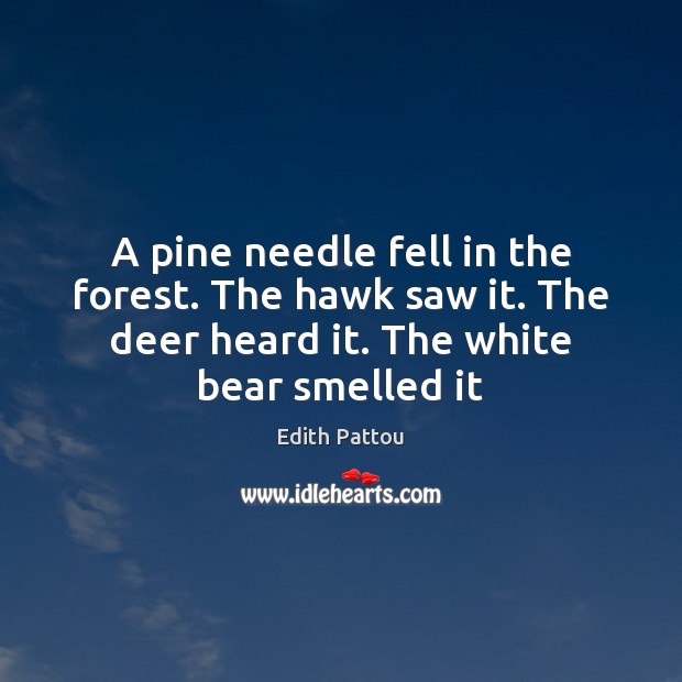 A pine needle fell in the forest. The hawk saw it. The Edith Pattou Picture Quote