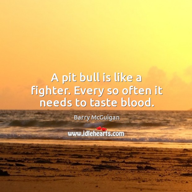 A pit bull is like a fighter. Every so often it needs to taste blood. Barry McGuigan Picture Quote