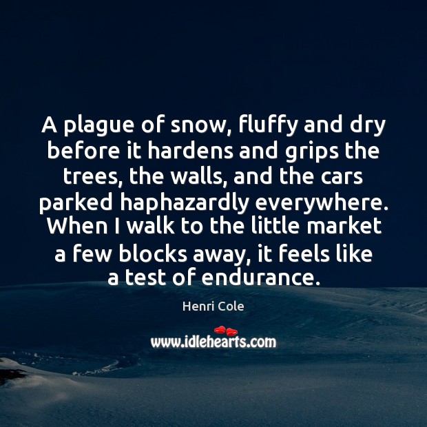 A plague of snow, fluffy and dry before it hardens and grips Henri Cole Picture Quote