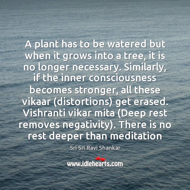 A plant has to be watered but when it grows into a Sri Sri Ravi Shankar Picture Quote