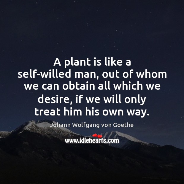 A plant is like a self-willed man, out of whom we can Johann Wolfgang von Goethe Picture Quote