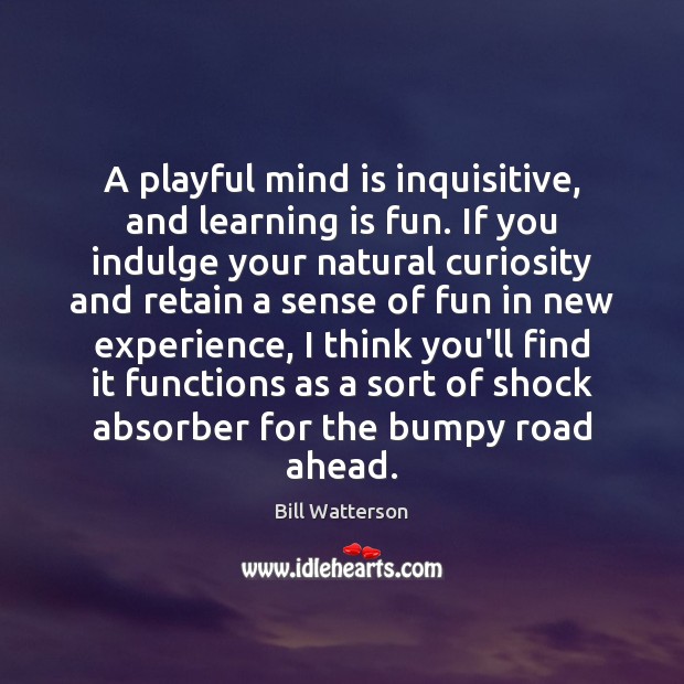 A playful mind is inquisitive, and learning is fun. If you indulge Bill Watterson Picture Quote