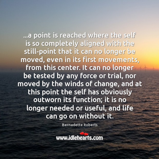 …a point is reached where the self is so completely aligned with Bernadette Roberts Picture Quote