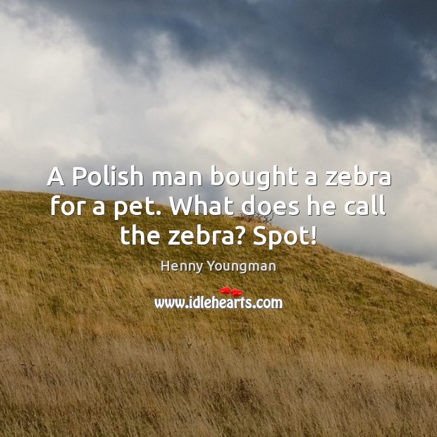 A Polish man bought a zebra for a pet. What does he call the zebra? Spot! Henny Youngman Picture Quote