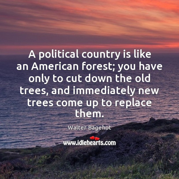 A political country is like an American forest; you have only to Walter Bagehot Picture Quote