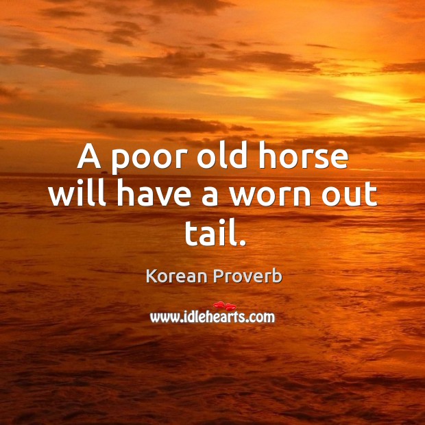 A poor old horse will have a worn out tail. Korean Proverbs Image