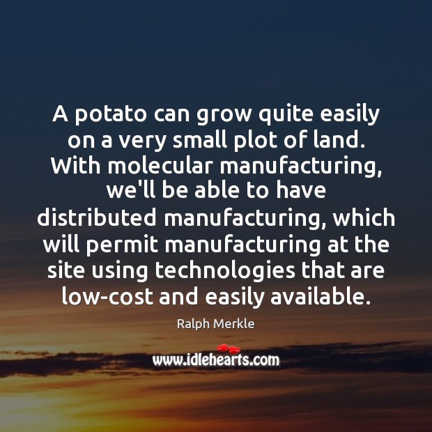 A potato can grow quite easily on a very small plot of Image