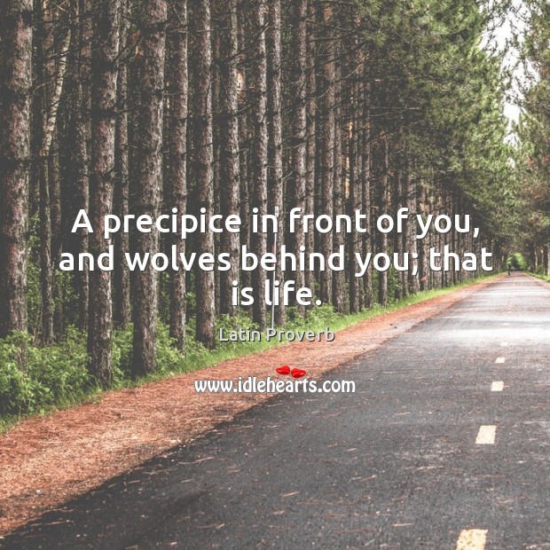 A precipice in front of you, and wolves behind you; that is life. Latin Proverbs Image