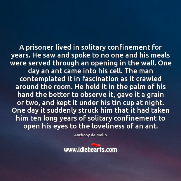A prisoner lived in solitary confinement for years. He saw and spoke Anthony de Mello Picture Quote