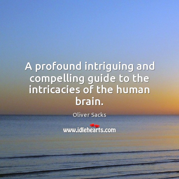 A profound intriguing and compelling guide to the intricacies of the human brain. Oliver Sacks Picture Quote