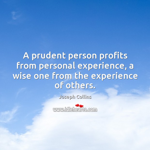 A prudent person profits from personal experience, a wise one from the Image