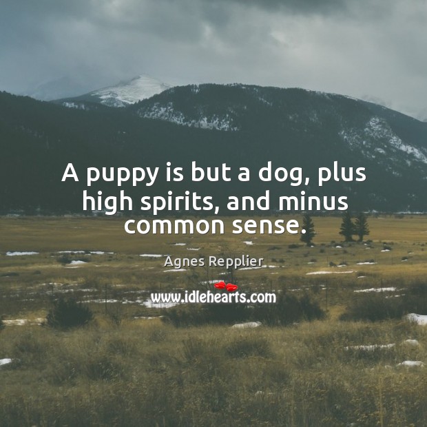 A puppy is but a dog, plus high spirits, and minus common sense. Agnes Repplier Picture Quote