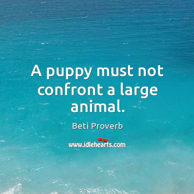 A puppy must not confront a large animal. Beti Proverbs Image