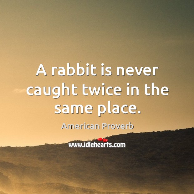 A rabbit is never caught twice in the same place. Image