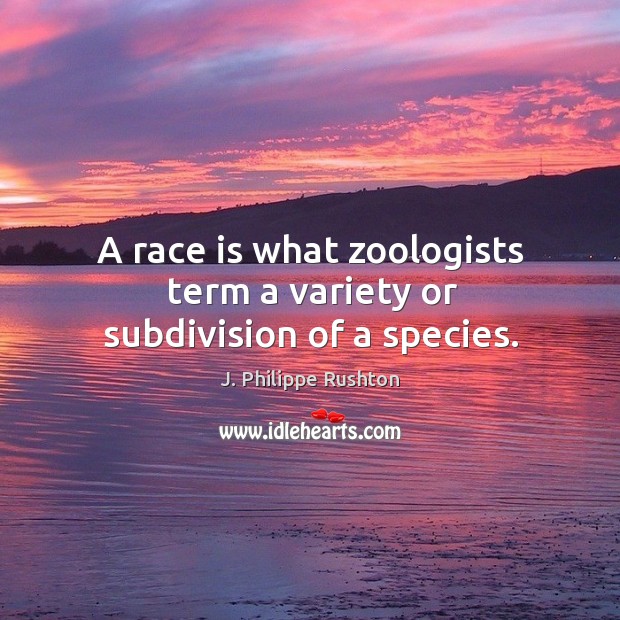 A race is what zoologists term a variety or subdivision of a species. J. Philippe Rushton Picture Quote