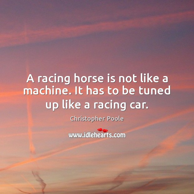 A racing horse is not like a machine. It has to be tuned up like a racing car. Image
