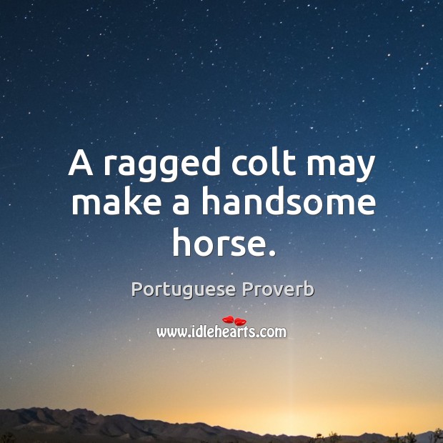 A ragged colt may make a handsome horse. Image