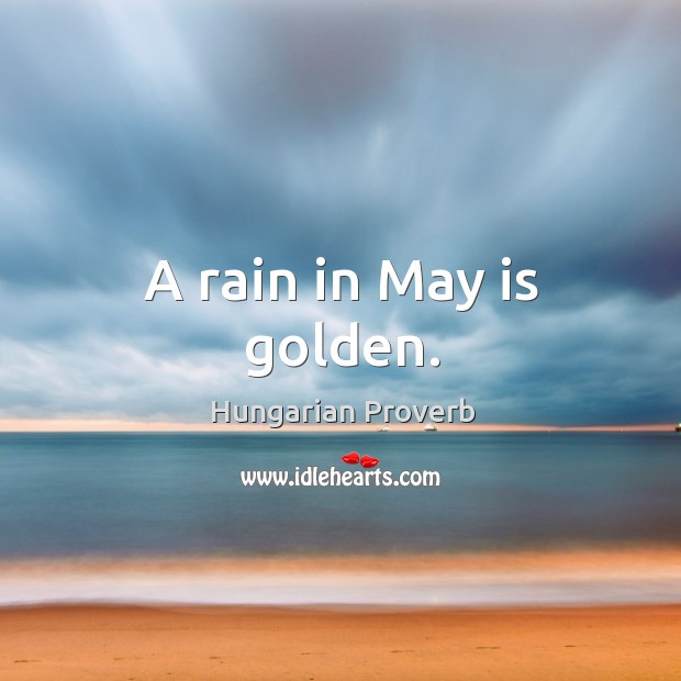A rain in may is golden. Image
