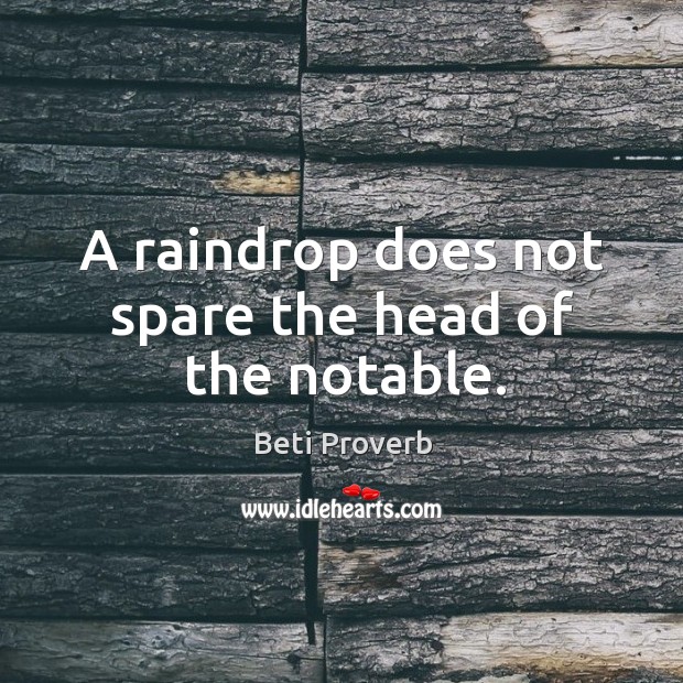A raindrop does not spare the head of the notable. Beti Proverbs Image