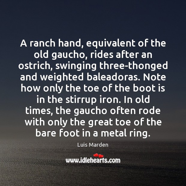 A ranch hand, equivalent of the old gaucho, rides after an ostrich, Luis Marden Picture Quote