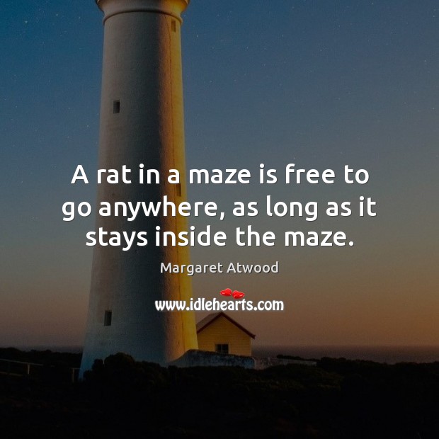 A rat in a maze is free to go anywhere, as long as it stays inside the maze. Margaret Atwood Picture Quote