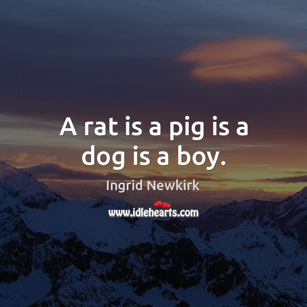 A rat is a pig is a dog is a boy. Image