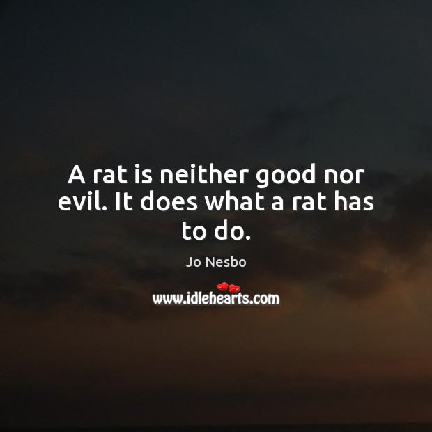 A rat is neither good nor evil. It does what a rat has to do. Jo Nesbo Picture Quote
