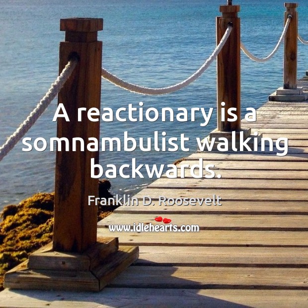 A reactionary is a somnambulist walking backwards. Franklin D. Roosevelt Picture Quote