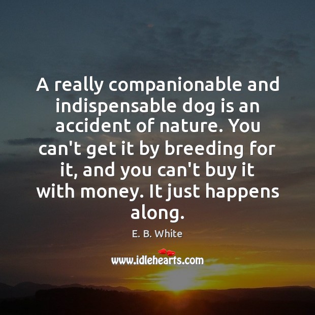 A really companionable and indispensable dog is an accident of nature. You E. B. White Picture Quote