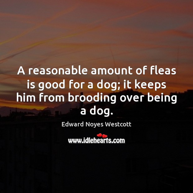 A reasonable amount of fleas is good for a dog; it keeps Edward Noyes Westcott Picture Quote