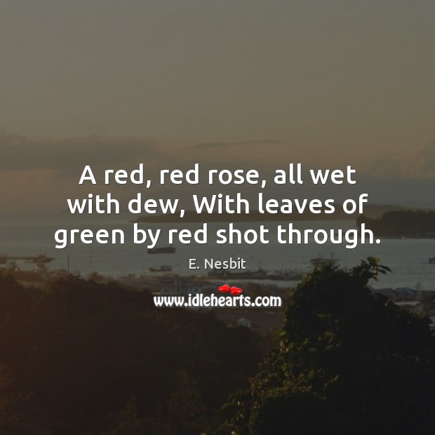 A red, red rose, all wet with dew, With leaves of green by red shot through. E. Nesbit Picture Quote