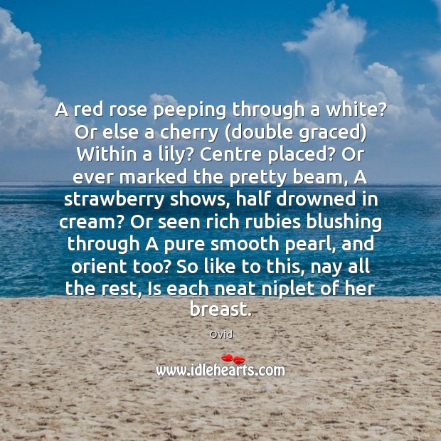 A red rose peeping through a white? Or else a cherry (double Image