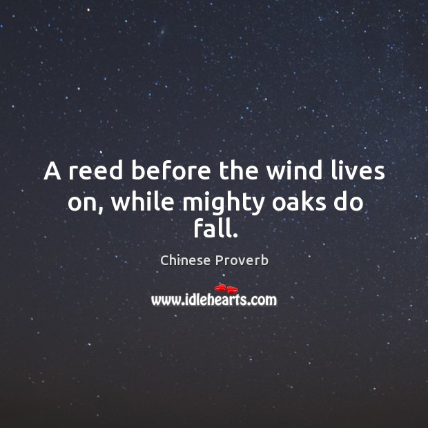 A reed before the wind lives on, while mighty oaks do fall. Chinese Proverbs Image