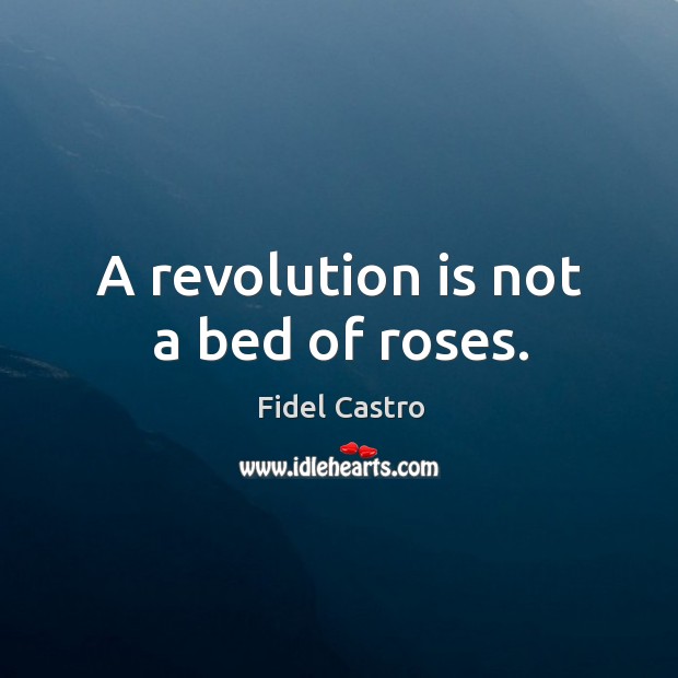 A revolution is not a bed of roses. Fidel Castro Picture Quote