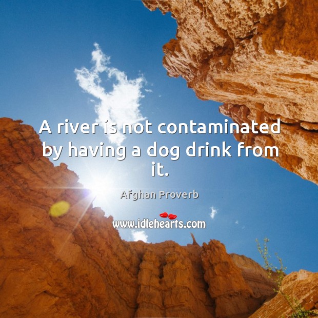 A river is not contaminated by having a dog drink from it. Afghan Proverbs Image