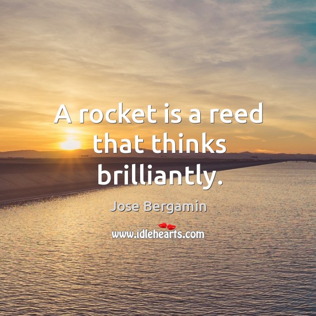 A rocket is a reed that thinks brilliantly. Jose Bergamin Picture Quote
