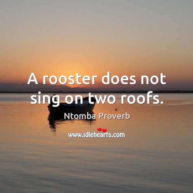 A rooster does not sing on two roofs. Ntomba Proverbs Image