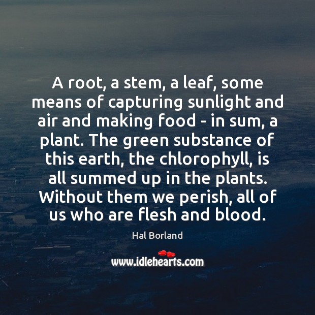 A root, a stem, a leaf, some means of capturing sunlight and Hal Borland Picture Quote