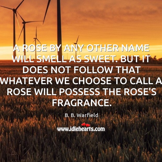 A ROSE BY ANY OTHER NAME WILL SMELL AS SWEET. BUT IT B. B. Warfield Picture Quote