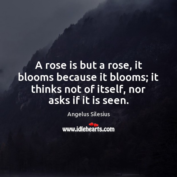 A rose is but a rose, it blooms because it blooms; it Angelus Silesius Picture Quote