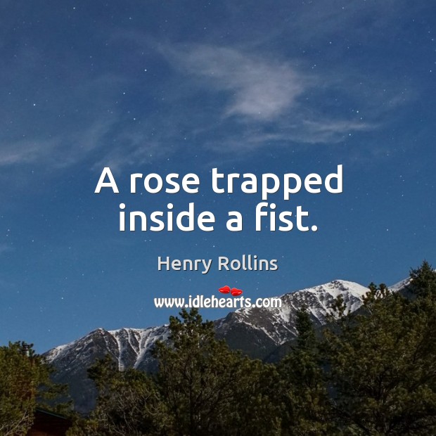A rose trapped inside a fist. Henry Rollins Picture Quote