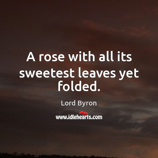 A rose with all its sweetest leaves yet folded. Image