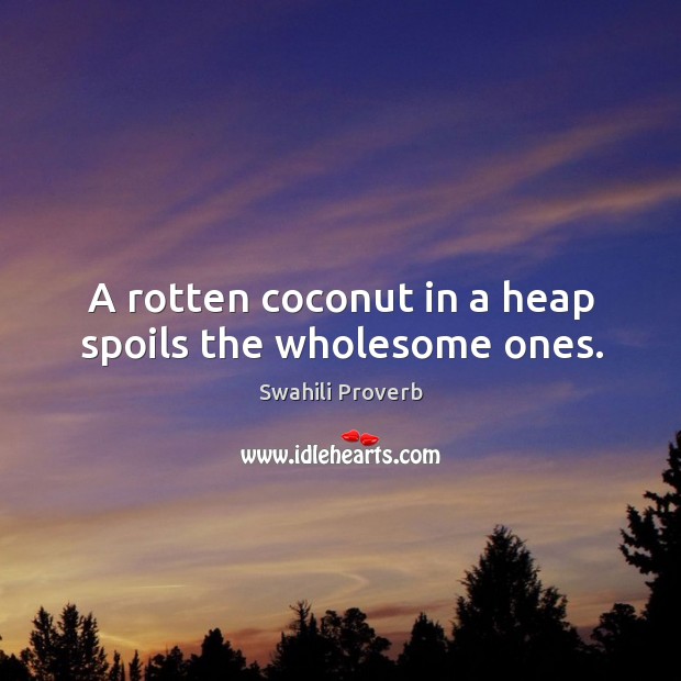 A rotten coconut in a heap spoils the wholesome ones. Swahili Proverbs Image