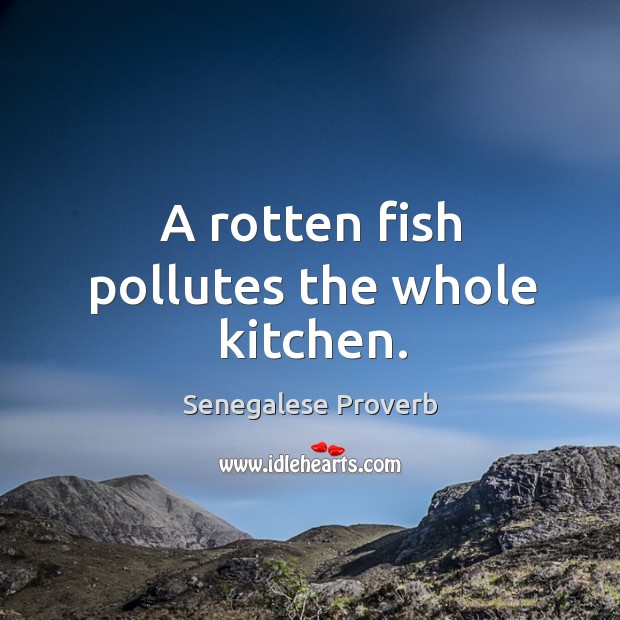 A rotten fish pollutes the whole kitchen. Senegalese Proverbs Image