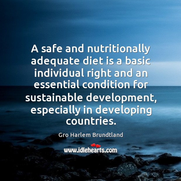 A safe and nutritionally adequate diet is a basic individual right and an essential condition Gro Harlem Brundtland Picture Quote