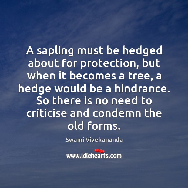 A sapling must be hedged about for protection, but when it becomes Swami Vivekananda Picture Quote